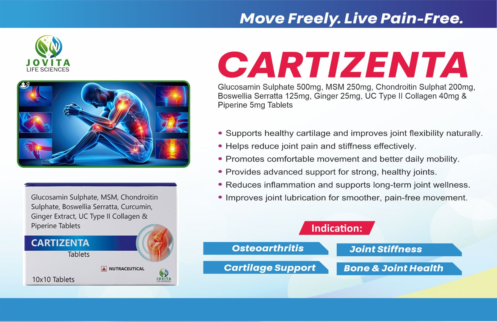 CARTIZENTA packaging
